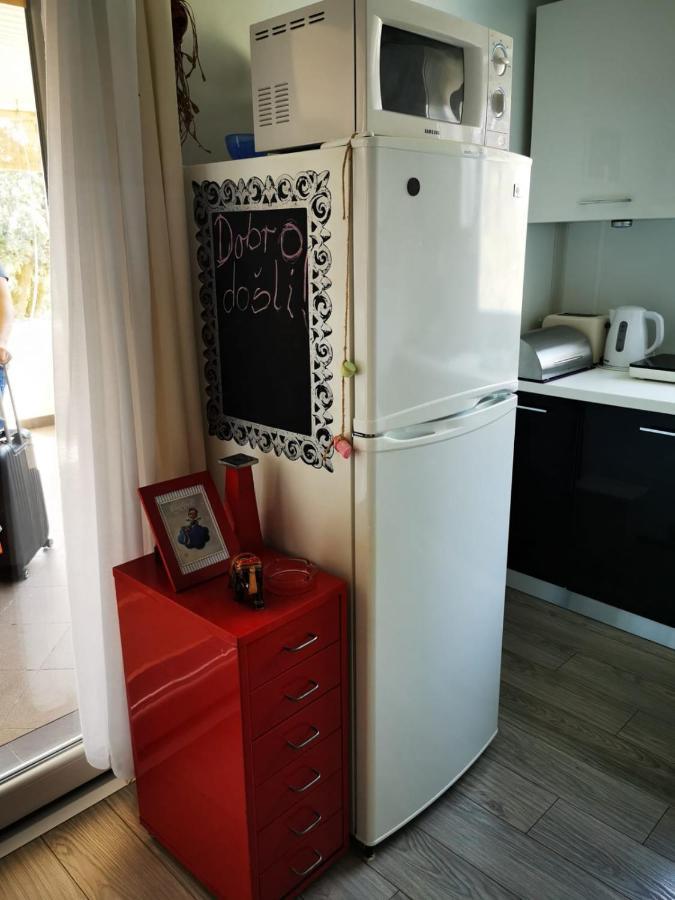Studio Apartment Rosemary ロヴィニ エクステリア 写真