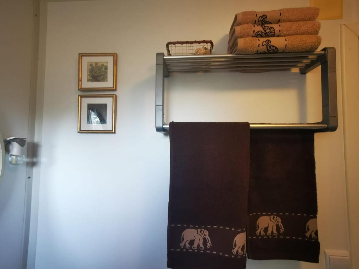 Studio Apartment Rosemary ロヴィニ エクステリア 写真